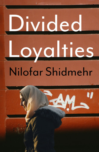 Divided loyalties : stories