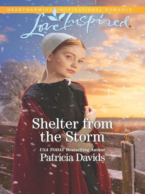 Shelter from the Storm--A Fresh-Start Family Romance