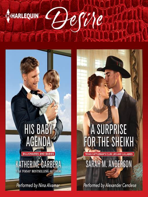 His Baby Agenda & a Surprise for the Sheikh