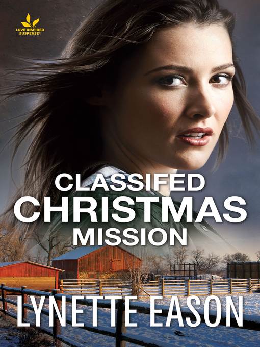 Classified Christmas Mission