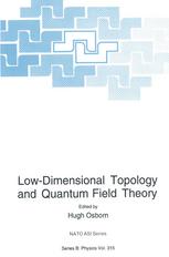 Low-Dimensional Topology and Quantum Field Theory.