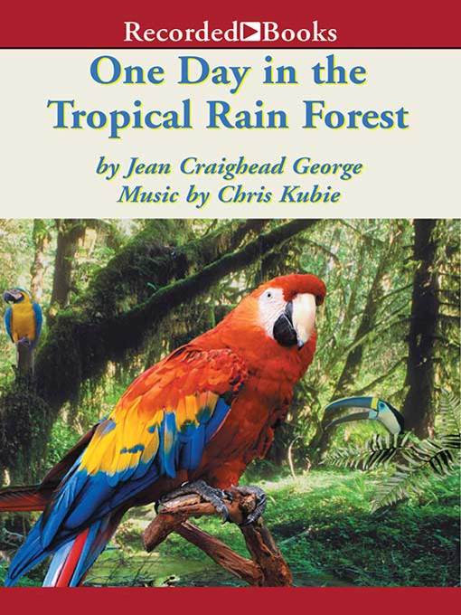 One Day in the Tropical Rain Forest