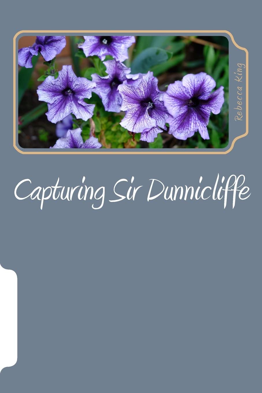 Capturing Sir Dunnicliffe (The Star Elite Mysteries)