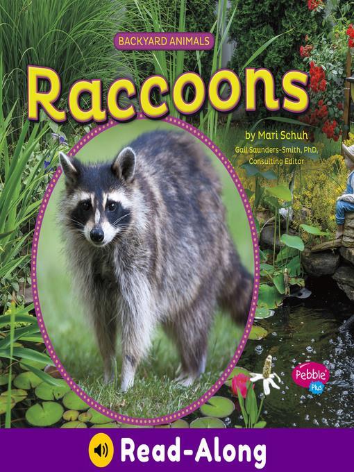 Raccoons