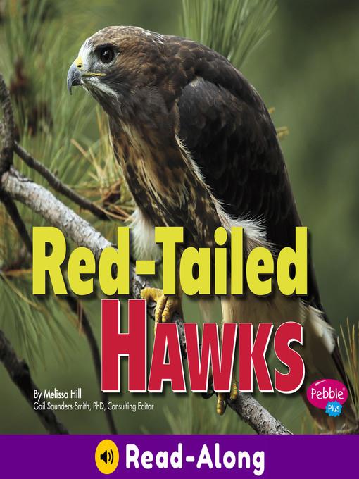 Red-Tailed Hawks