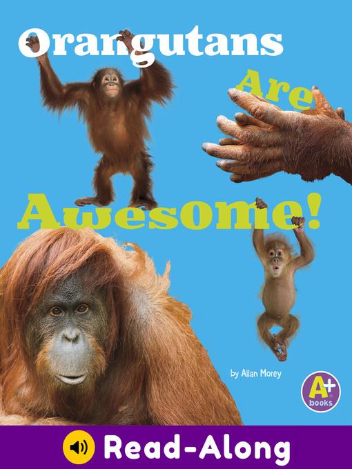 Orangutans Are Awesome!