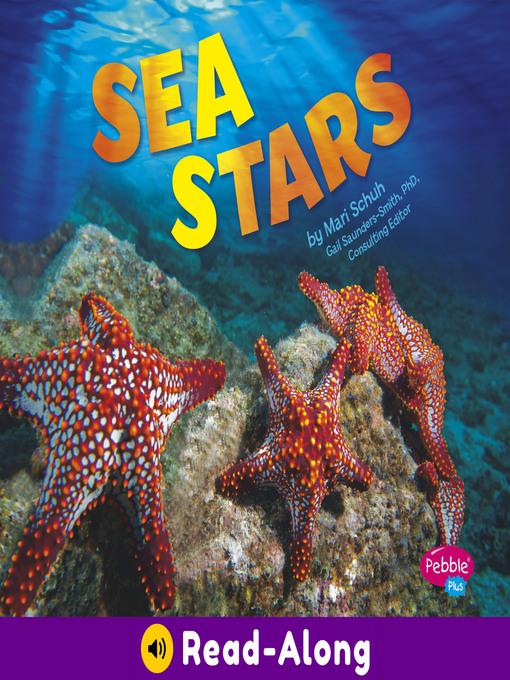 Sea Stars