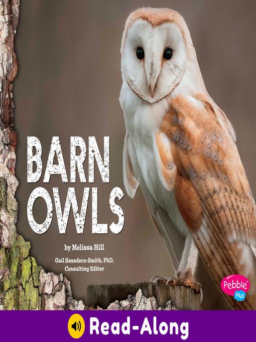 Barn Owls