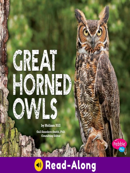 Great Horned Owls