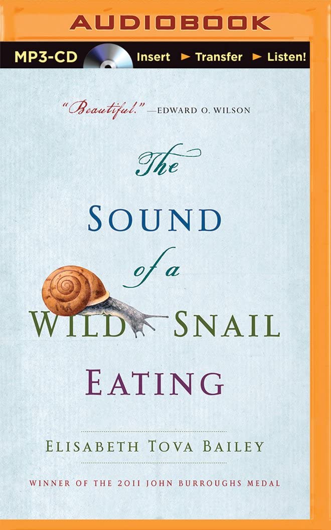 Sound of a Wild Snail Eating, The