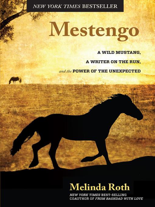 Mestengo