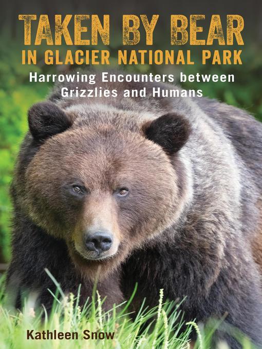 Taken by Bear in Glacier National Park