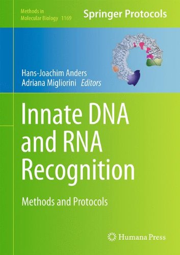 Innate DNA and RNA Recognition