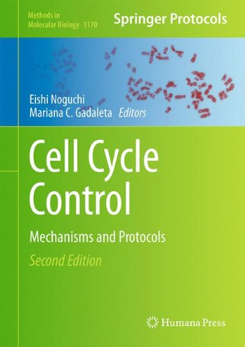 Cell Cycle Control