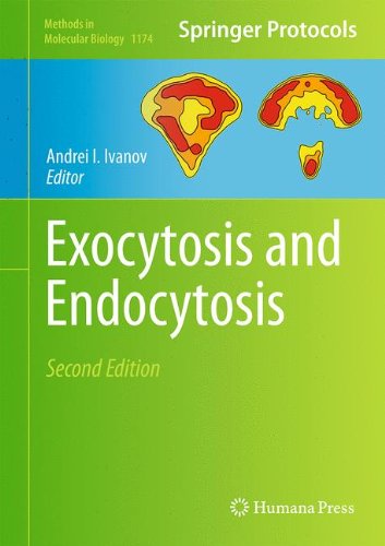 Exocytosis and Endocytosis