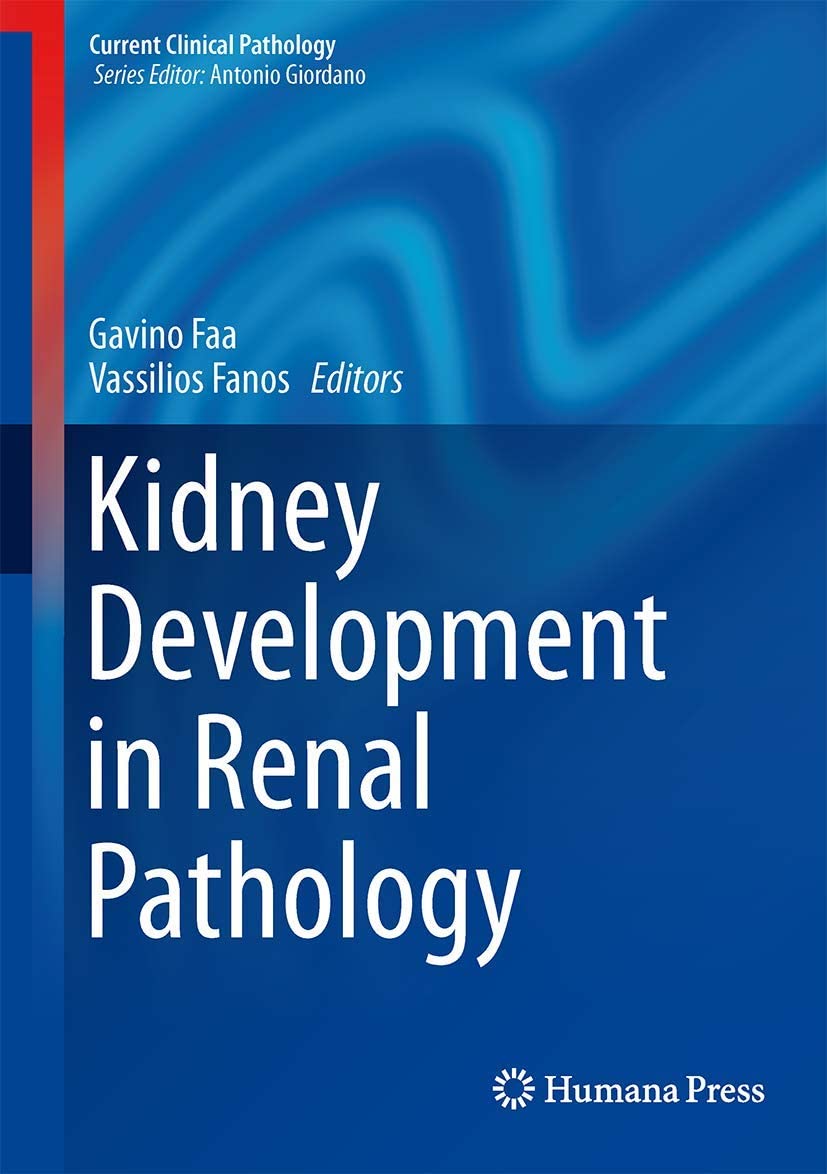 Kidney Development in Renal Pathology