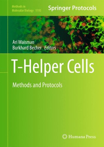 T-Helper Cells