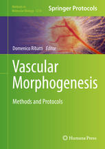 Vascular Morphogenesis Methods and Protocols