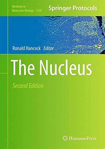 The Nucleus