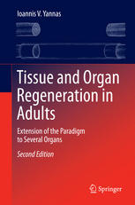 Tissue and Organ Regeneration in Adults Extension of the Paradigm to Several Organs