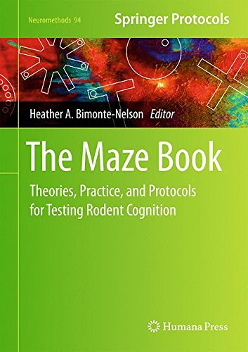 The Maze Book