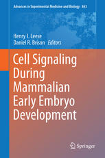 Cell signaling during mammalian early embryo development