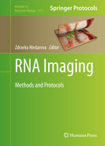 RNA Imaging Methods and Protocols