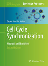 Cell Cycle Synchronization