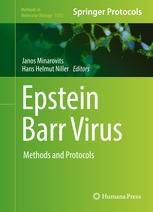 Epstein Barr Virus : Methods and Protocols