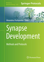 Synapse Development : Methods and Protocols