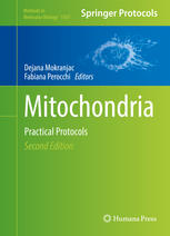 Mitochondria : practical protocols