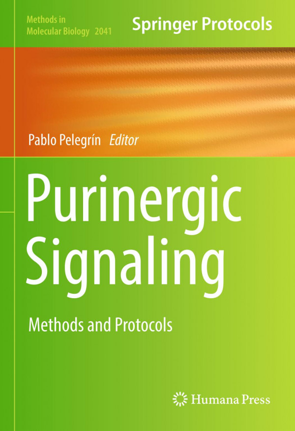 Purinergic signaling : methods and protocols