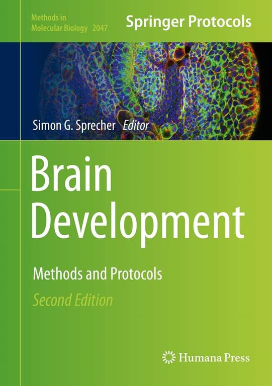 Brain Development