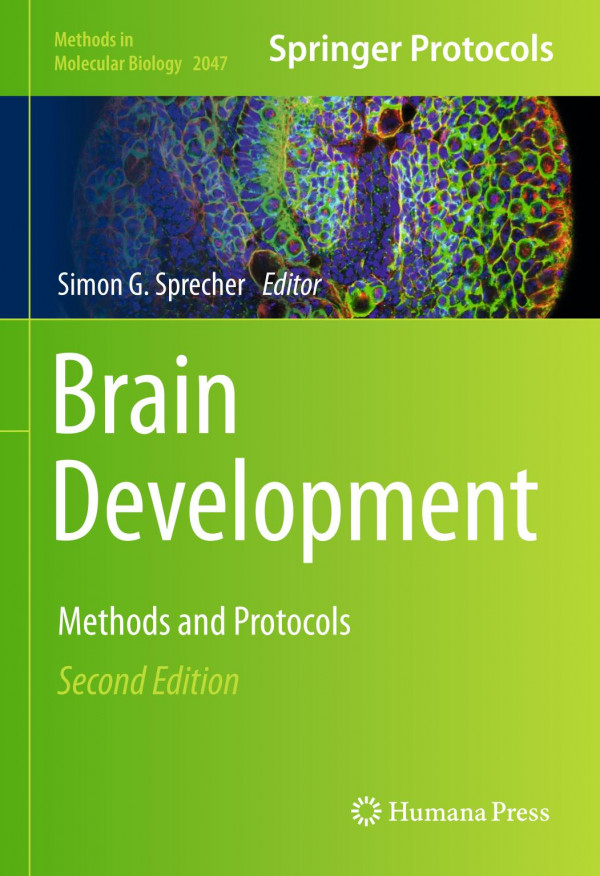 Brain Development : Methods and Protocols