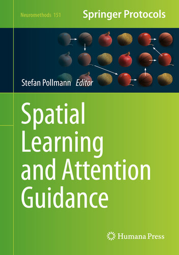 Spatial Learning and Attention Guidance