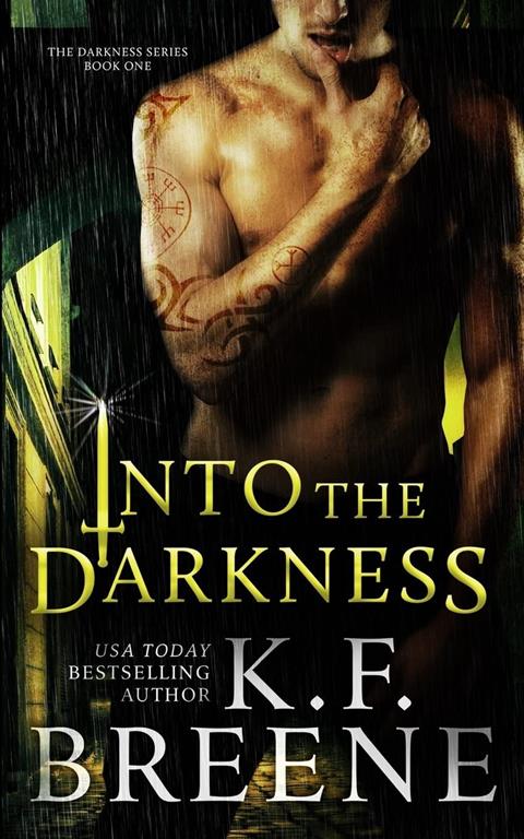 Into the Darkness (Darkness, 1) (Volume 1)