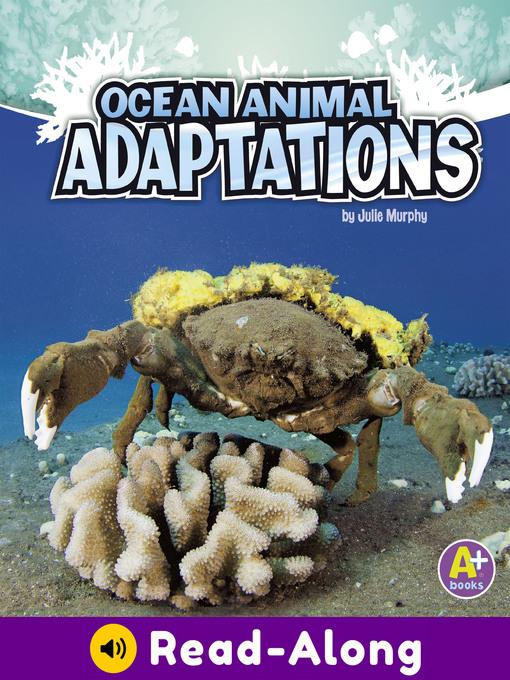 Ocean Animal Adaptations