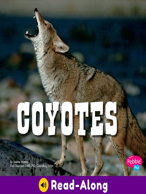 Coyotes