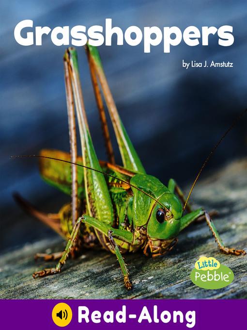 Grasshoppers