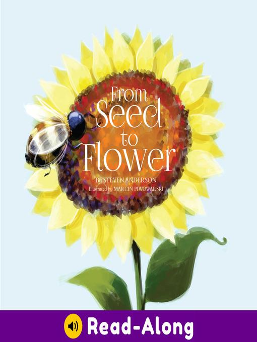From Seed to Flower