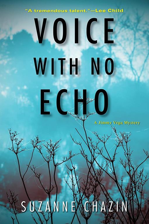 Voice with No Echo (A Jimmy Vega Mystery)