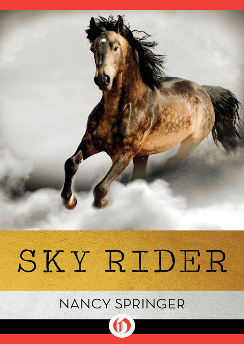 Sky Rider