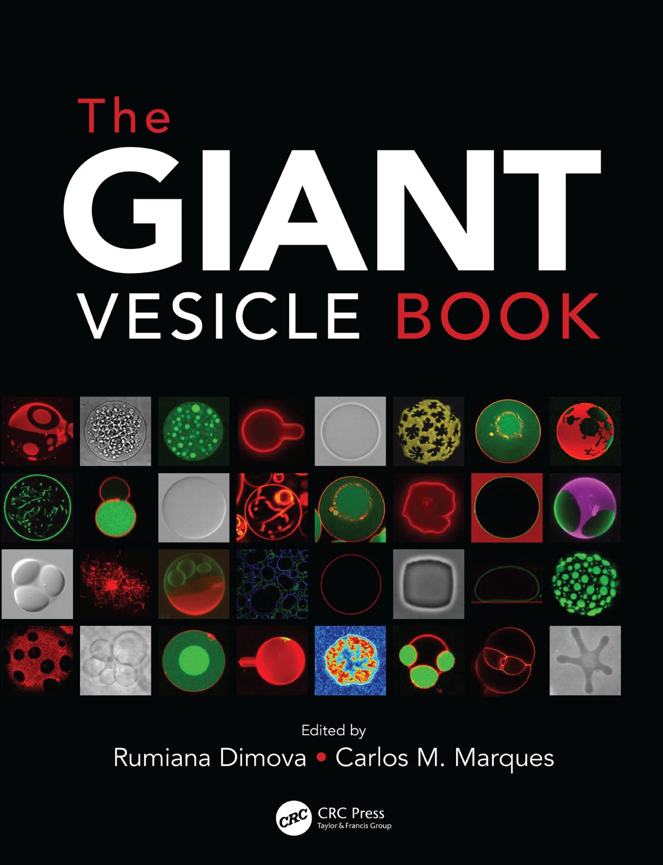 The Giant Vesicle Book