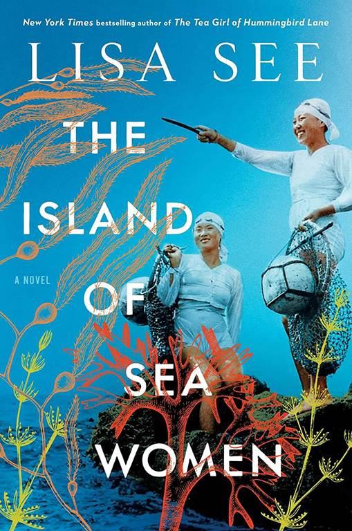 The Island of Sea Women: A Novel