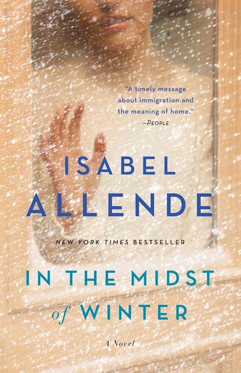 In the Midst of Winter: A Novel