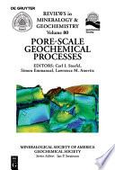 Pore Scale Geochemical Processes