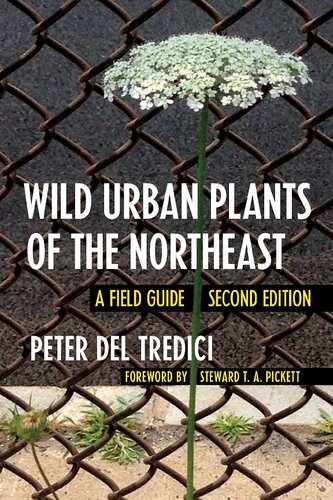 Wild Urban Plants of the Northeast