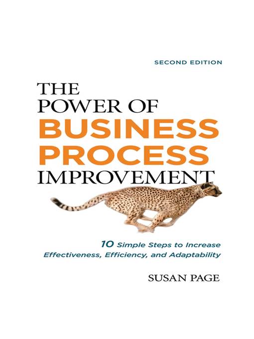 The Power of Business Process Improvement 2nd Editon