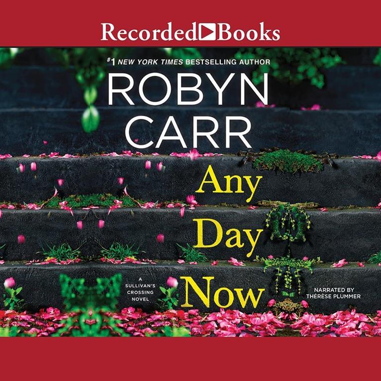 Any Day Now (Sullivan's Crossing (2))