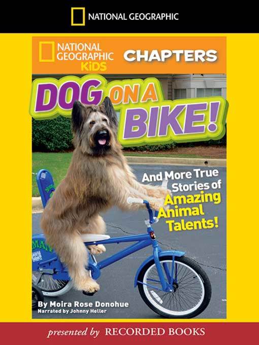 Dog on a Bike